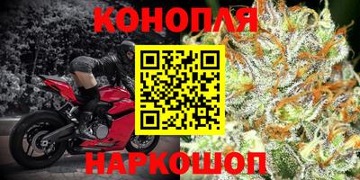соль ск Будённовск