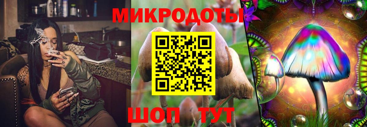 Химки  Псилоцибиновые грибы GOLDEN TEACHER  Вход с VPN 